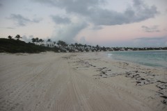 IMG_4531-Maunday´s-Bay