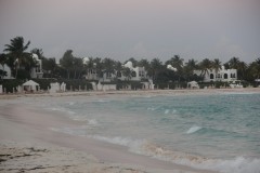 IMG_4533