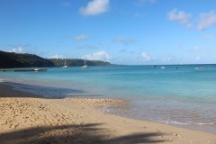 IMG_4553-Crocus-Bay