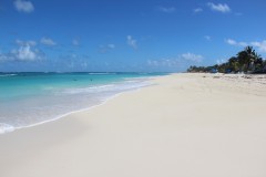 IMG_4565-Shoal-Bay-East