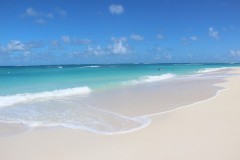IMG_4566