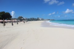 IMG_4567