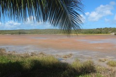 IMG_4568-Meads-Bay