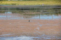 IMG_4570