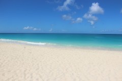IMG_4572