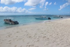 IMG_4578