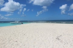 IMG_4580