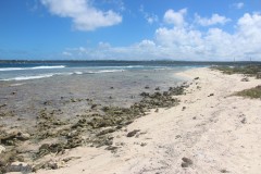 IMG_4582
