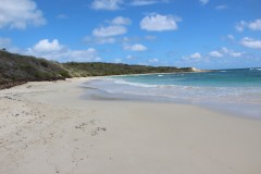 IMG_5815
