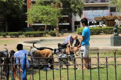 IMG_0119
