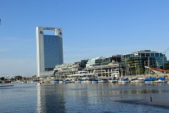 IMG_0167