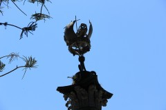 IMG_0212