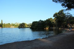IMG_0268