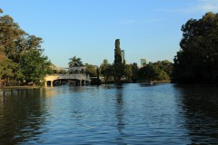 IMG_0269