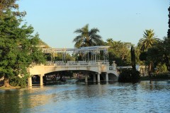 IMG_0270
