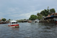 IMG_0369-Tigre-delta-Paraná
