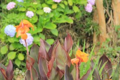 IMG_0396