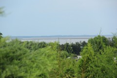 IMG_0416