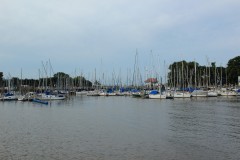 IMG_0426-záliv-La-Plata