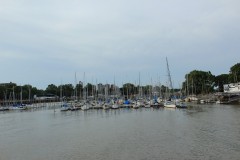 IMG_0427