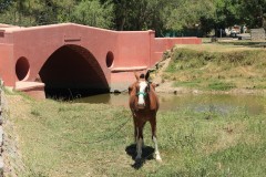 IMG_0463-Puente-Viejo