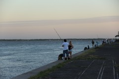 IMG_0495-Costanera
