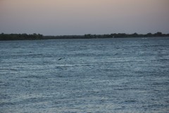 IMG_0496