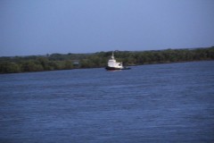 IMG_0510