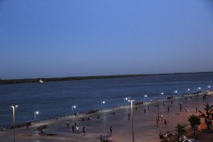 IMG_0511