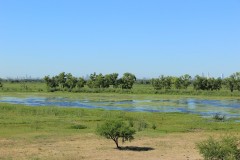IMG_0514