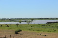 IMG_0515