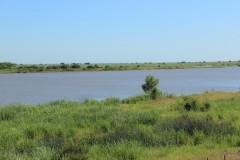 IMG_0516