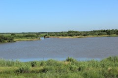 IMG_0517