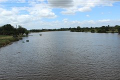 IMG_0532