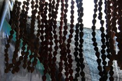 IMG_0537