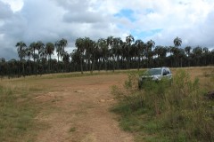 IMG_0577