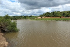 IMG_0592