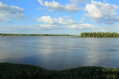 IMG_0620