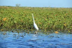 IMG_0698