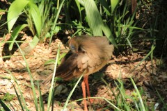 IMG_0836
