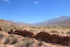 IMG_1079