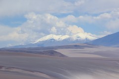 IMG_1392