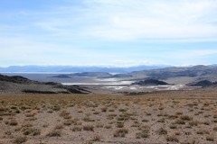 IMG_1404