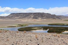 IMG_1422-Laguna-Colorada