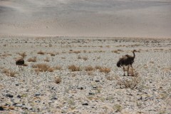 IMG_1449