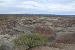 IMG_1780
