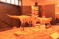 IMG_1794