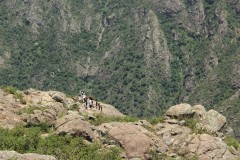IMG_1903
