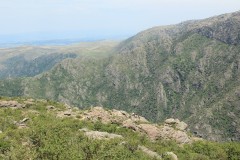 IMG_1904