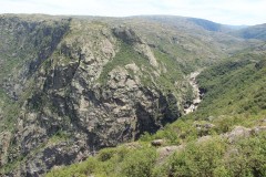 IMG_1905